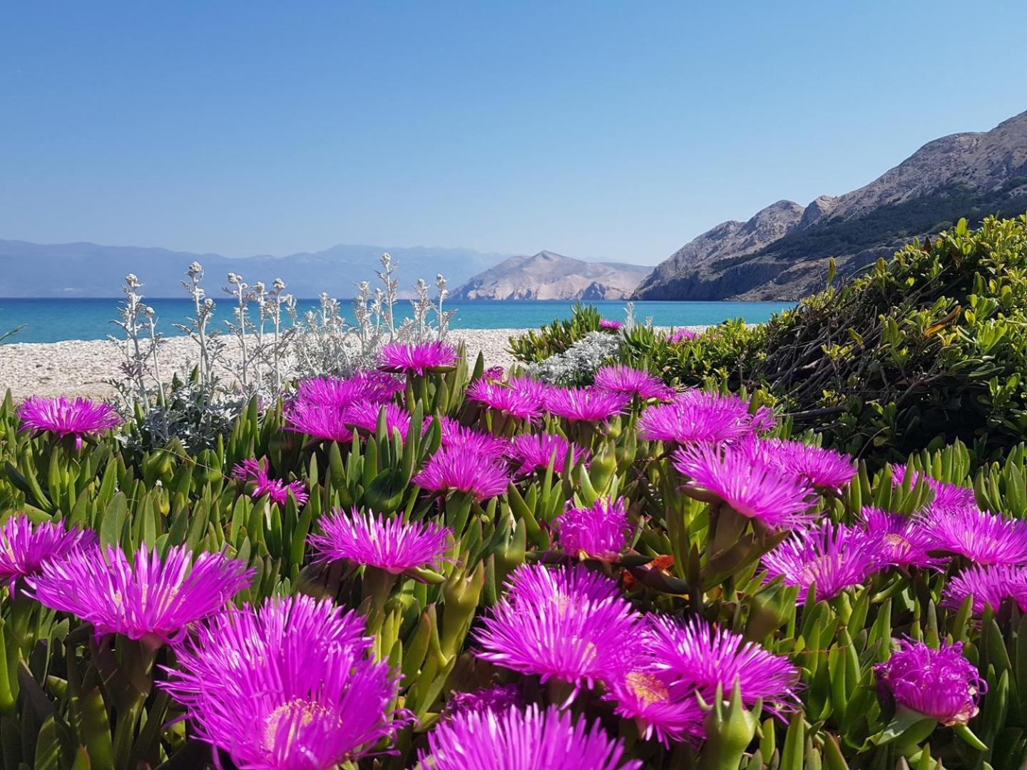 Apartments Mikulan Beach Baška Exterior foto